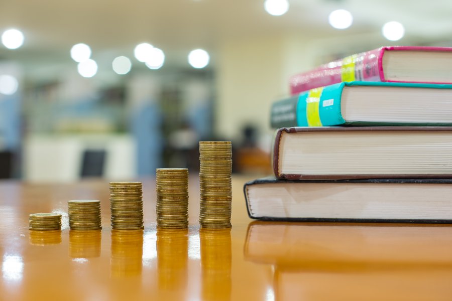 What Pricing Model Works Best for Subscription Resource Libraries?